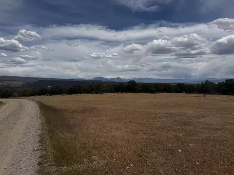 tbd 2550 Rd, Cedaredge, CO 81413 photo 4