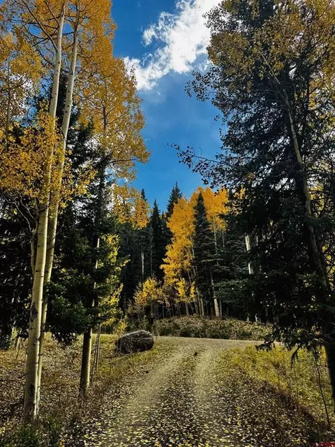 1250 Red Mountain Ranch Upper Loop, Crested Butte, CO 81224 photo 10