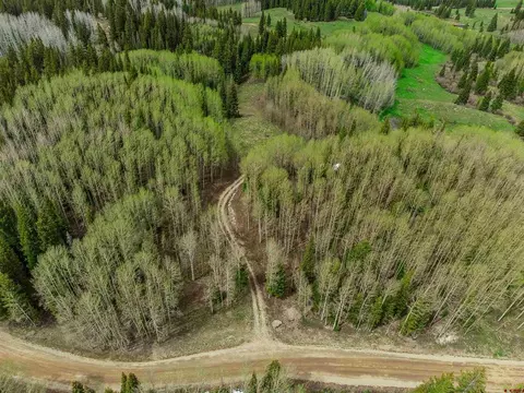 1250 Red Mountain Ranch Upper Loop, Crested Butte, CO 81224 photo 4