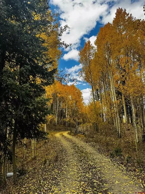 1250 Red Mountain Ranch Upper Loop, Crested Butte, CO 81224 photo 9