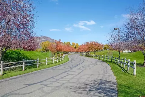 42 W Dalton Rd, Durango, CO 81301 photo 8