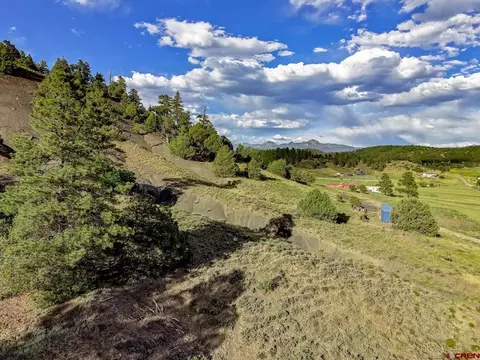 125 Dandelion Ct, Pagosa Springs, CO 81147