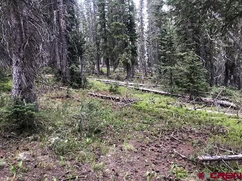 tbd Ruby Silver Rd, Crested Butte, CO 81224 photo 15