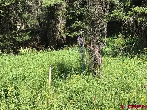 tbd Ruby Silver Rd, Crested Butte, CO 81224