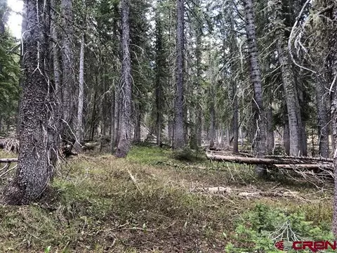 tbd Ruby Silver Rd, Crested Butte, CO 81224 photo 20
