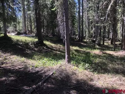 tbd Ruby Silver Rd, Crested Butte, CO 81224 photo 19
