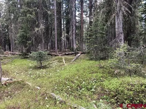 tbd Ruby Silver Rd, Crested Butte, CO 81224 photo 18
