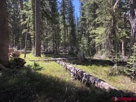 tbd Ruby Silver Rd, Crested Butte, CO 81224 photo 9