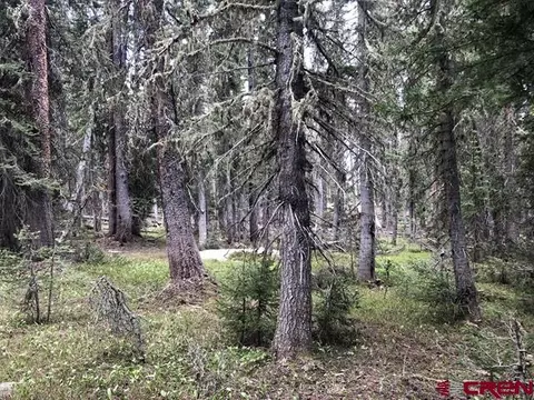 tbd Ruby Silver Rd, Crested Butte, CO 81224 photo 17