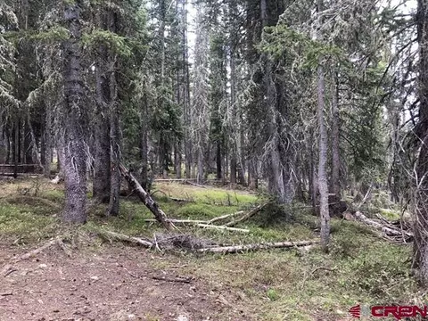 tbd Ruby Silver Rd, Crested Butte, CO 81224 photo 16