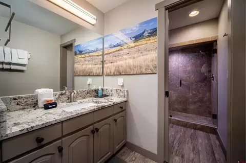 Bath - 71 Needles Way # 531, Durango, CO 81301 photo 5 of 6