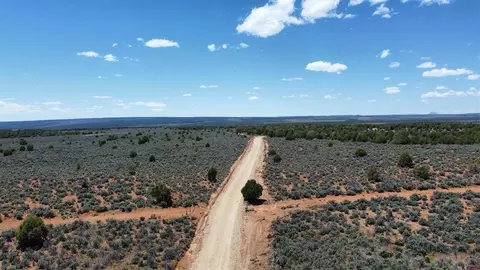 4001 Cr 136, Hesperus, CO 81122 photo 17