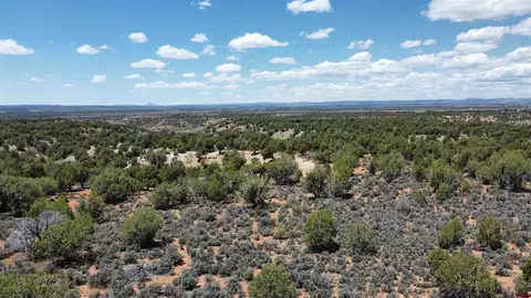 4001 Cr 136, Hesperus, CO 81122 photo 7