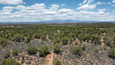 4001 Cr 136, Hesperus, CO 81122 photo 6