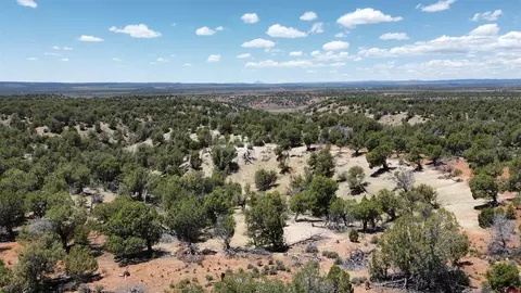 4001 Cr 136, Hesperus, CO 81122 photo 8