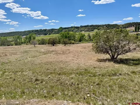 1424 Wrangler Way, Durango, CO 81303
