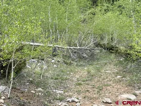 tbd Usfs Rd 766 Rd, Pitkin, CO 81241 photo 10