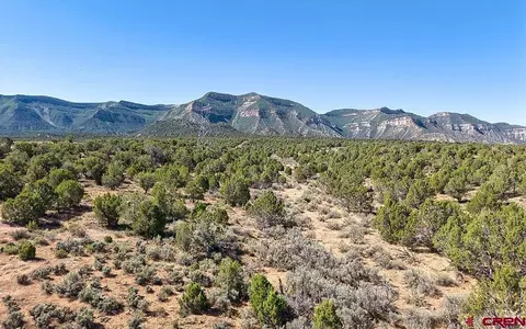 tbd Road F, Cortez, CO 81321