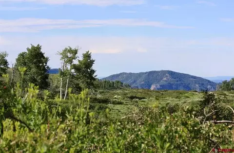 12951 Ms Rd, Gateway, CO 81522 photo 8
