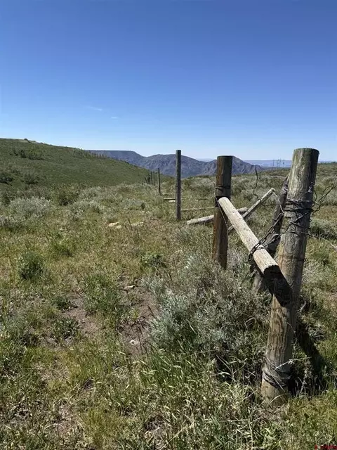 12951 Ms Rd, Gateway, CO 81522 photo 29