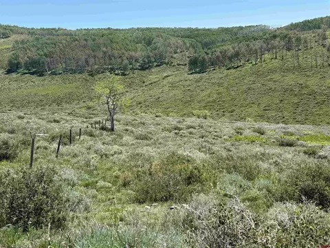 12951 Ms Rd, Gateway, CO 81522 photo 31