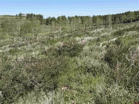 12951 Ms Rd, Gateway, CO 81522 photo 23