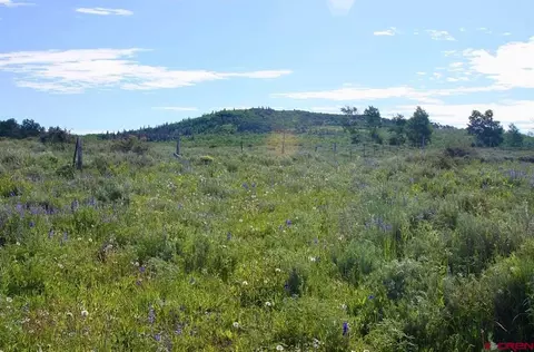 12951 Ms Rd, Gateway, CO 81522 photo 7