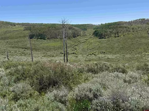 12951 Ms Rd, Gateway, CO 81522 photo 26