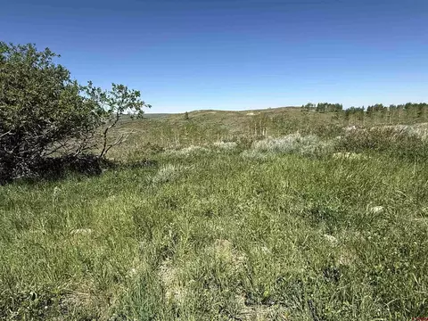 12951 Ms Rd, Gateway, CO 81522 photo 18