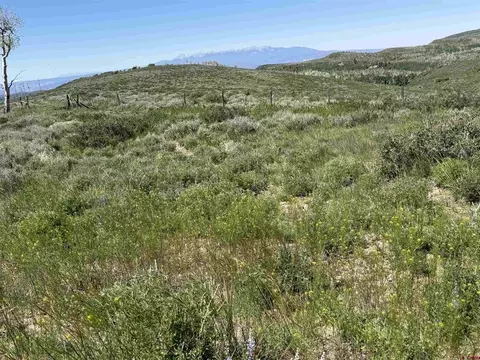 12951 Ms Rd, Gateway, CO 81522 photo 28