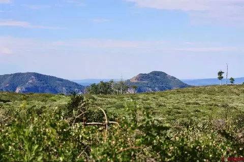 12951 Ms Rd, Gateway, CO 81522 photo 9