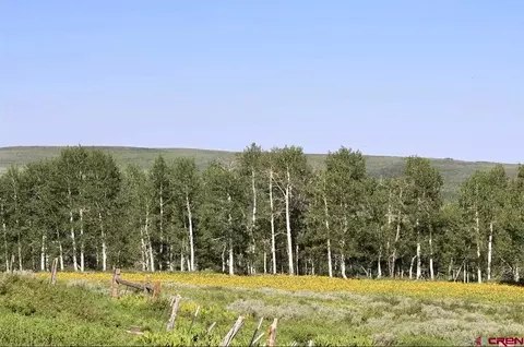 12951 Ms Rd, Gateway, CO 81522 photo 10