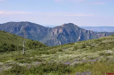 12951 Ms Rd, Gateway, CO 81522 photo 11