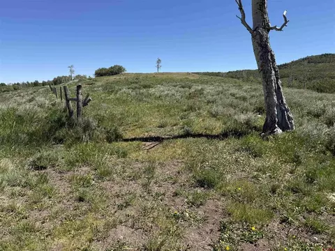 12951 Ms Rd, Gateway, CO 81522 photo 30