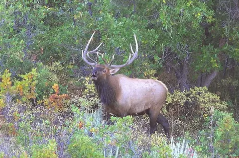 12951 Ms Rd, Gateway, CO 81522 photo 6