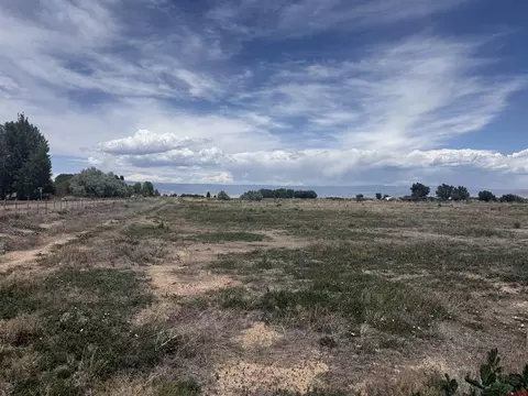 lot1 Flintlock Ln, Olathe, CO 81425