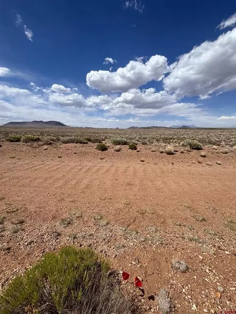 lot2 La Jara Trl, San Acacio, CO 81151 photo 3
