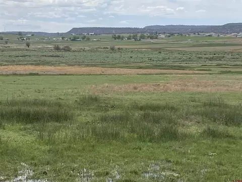View/Area - 346 County Road 321, Ignacio, CO 81137 photo 5 of 7