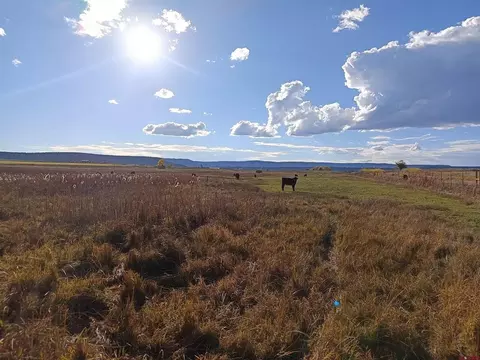 Other - 346 County Road 321, Ignacio, CO 81137 photo 16 of 18