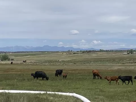 346 County Road 321, Ignacio, CO 81137
