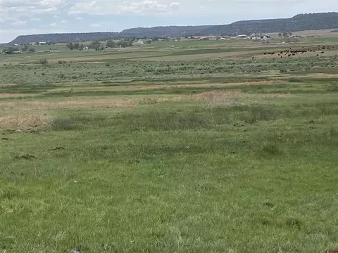 View/Area - 346 County Road 321, Ignacio, CO 81137 photo 4 of 7