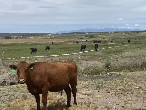 Other - 346 County Road 321, Ignacio, CO 81137 photo 8 of 12