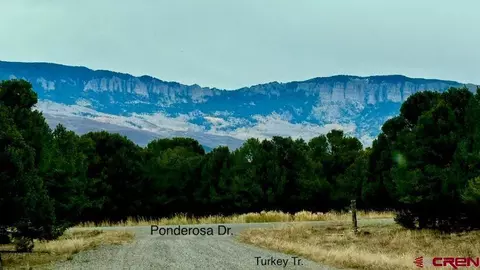 lot13 G Ponderosa Dr, Ridgway, CO 81432