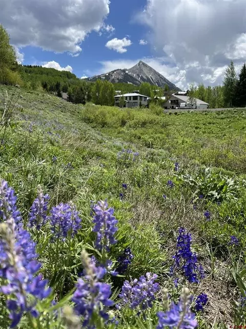 379 S Avion Dr, Crested Butte, CO 81224