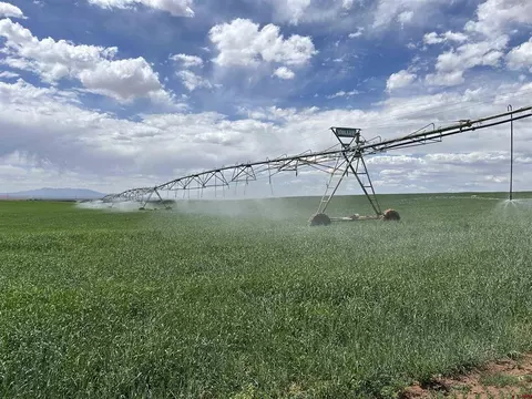 tbd Road 15, Cahone, CO 81320