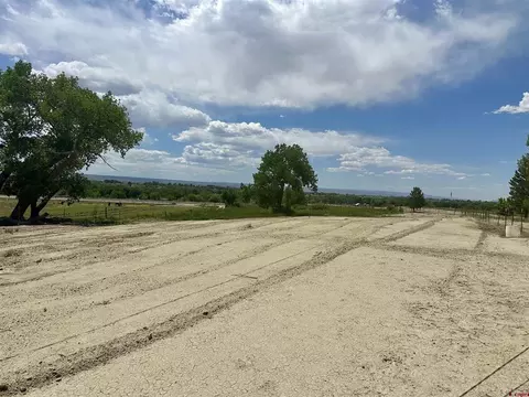 tbd Highway 50, Olathe, CO 81425 photo 15