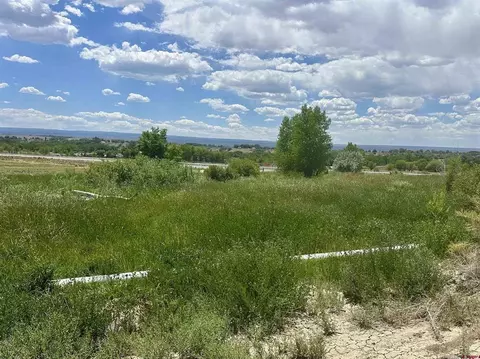 tbd Highway 50, Olathe, CO 81425 photo 2