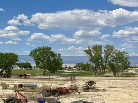 tbd Highway 50, Olathe, CO 81425 photo 18