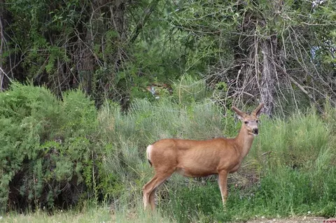 tbd 5th St, Del Norte, CO 81132