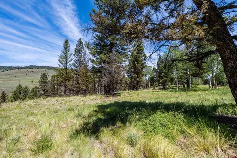 1021 Slumgullion Trl, Powderhorn, CO 81243